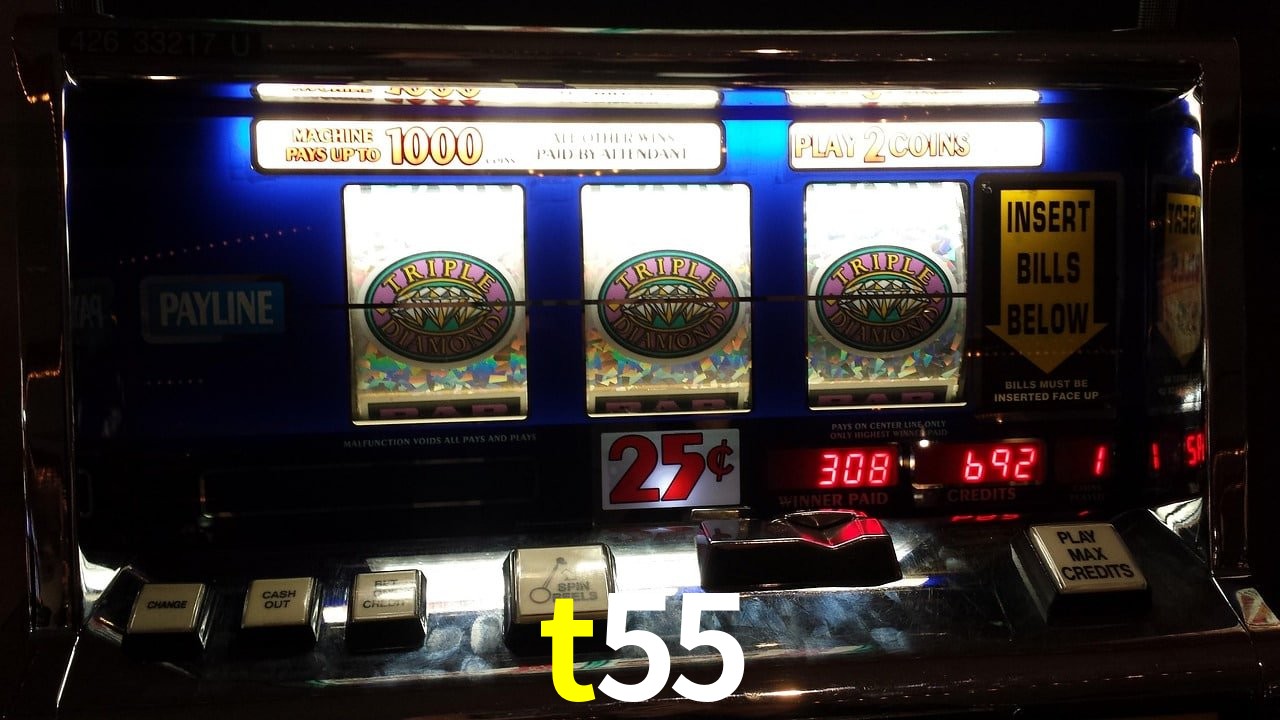 Sports Statistics t55